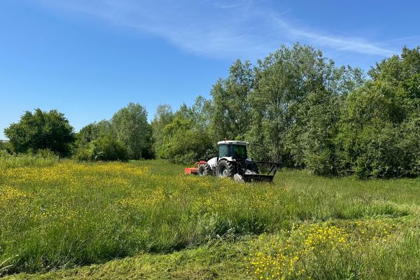 imv vp malčiranje tarupiranje košnja livada travnjaka šuma šikara